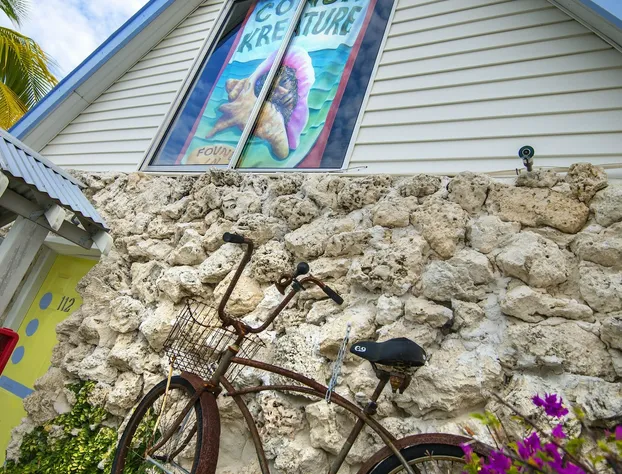 Ibis Bay Beach Resort hotel detail image 2