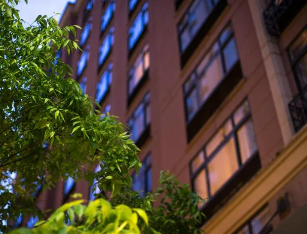 The Paramount Hotel hotel detail image 1