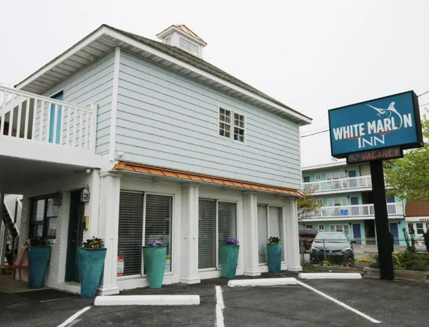 White Marlin Inn hotel detail image 2