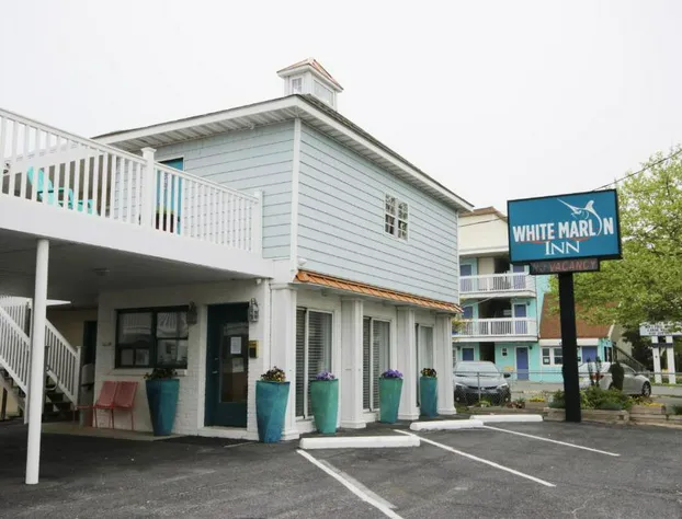 White Marlin Inn hotel detail image 3