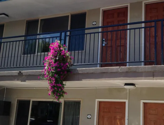 Cameo Motel - Portland hotel detail image 3