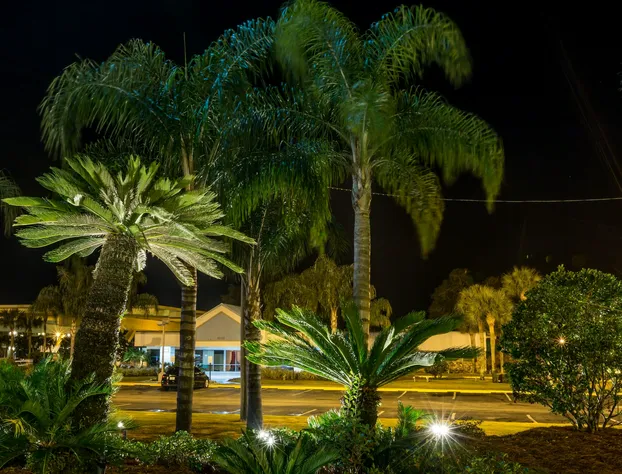 Champions World Resort hotel detail image 3