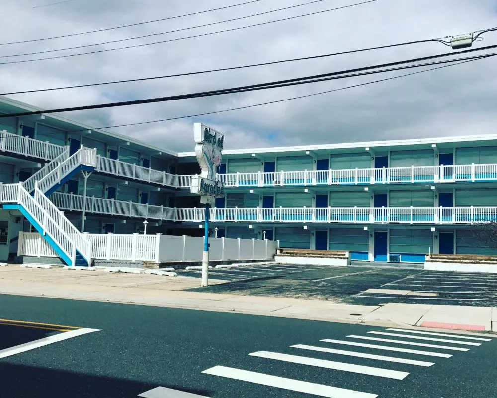 Bird Of Paradise Motel hotel hero