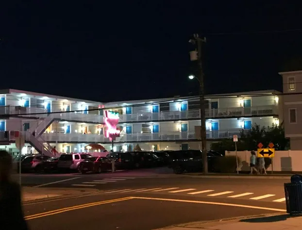 Bird Of Paradise Motel hotel detail image 4
