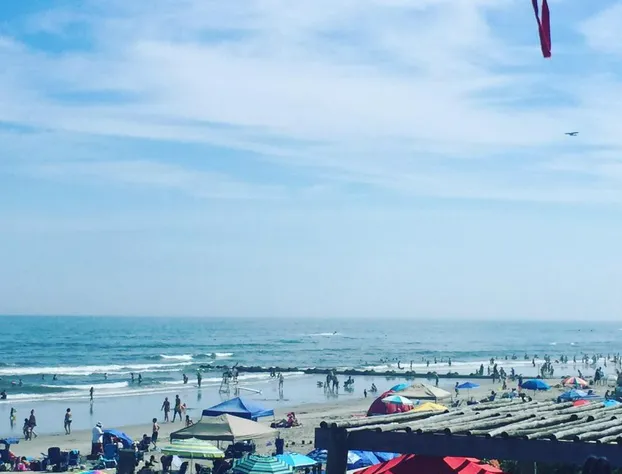 Bird Of Paradise Motel hotel detail image 4