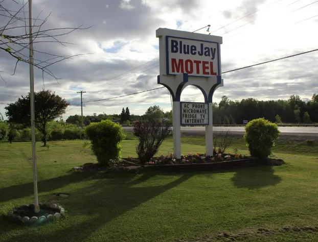Blue Jay Motel hotel detail image 3