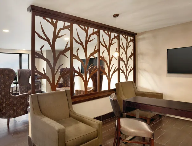 Holiday Inn Chicago - Schaumburg by IHG hotel detail image 4