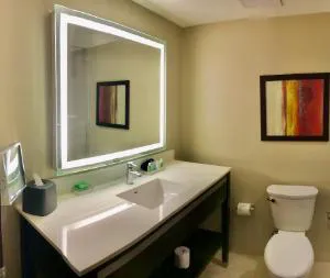 Holiday Inn Chicago - Schaumburg by IHG hotel detail image 4