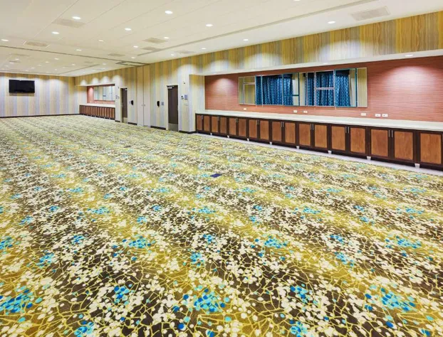 Hampton Inn Austin/Oak Hill hotel detail image 4
