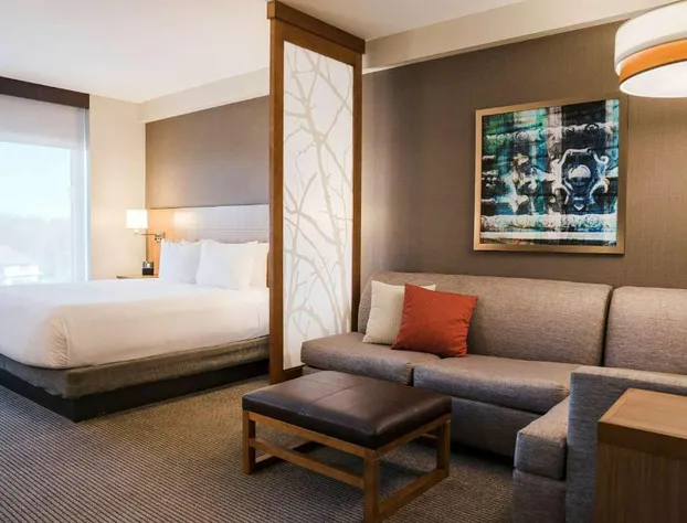 Hyatt Place Buffalo/Amherst hotel detail image 4