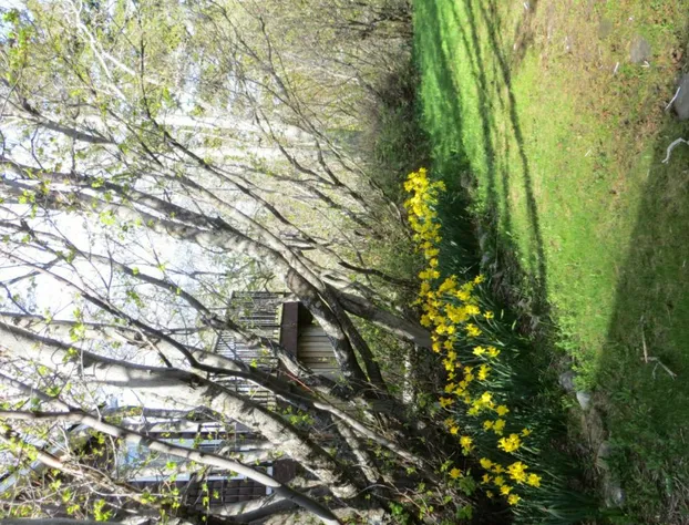Northland Lodge hotel detail image 3