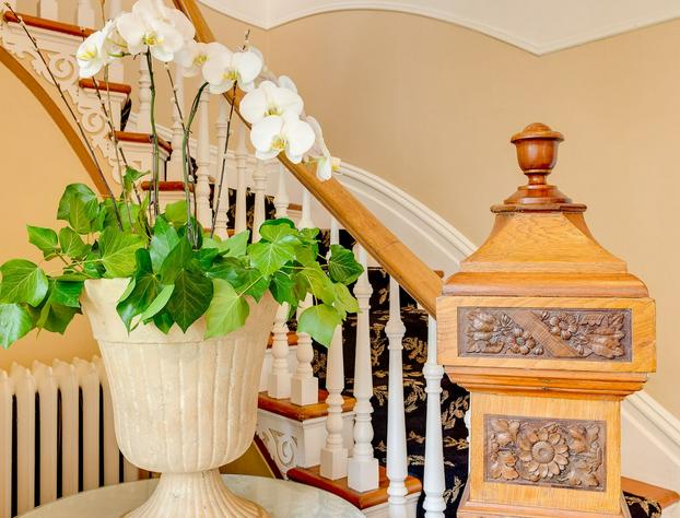 Fairholme Manor hotel detail image 3