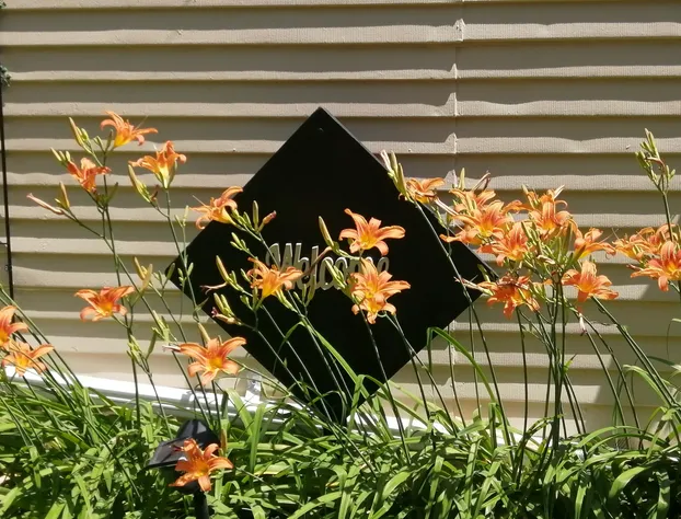 Noretta Motel hotel detail image 4