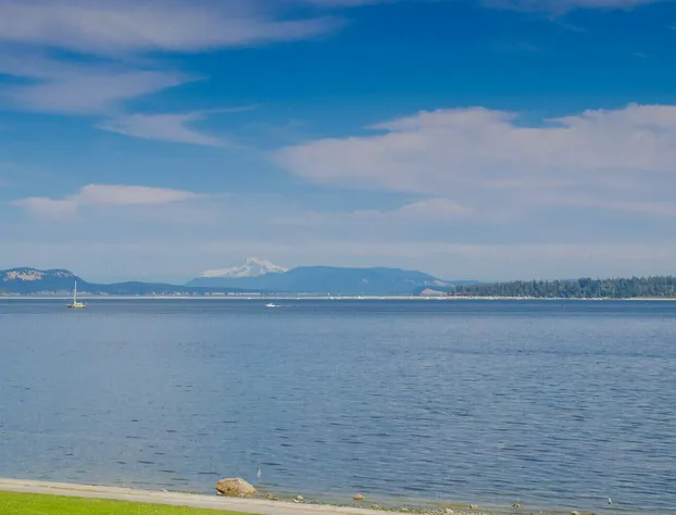 The Cedarwood Inn & Suites hotel detail image 2