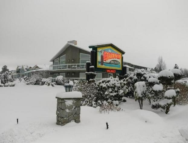 The Cedarwood Inn & Suites hotel detail image 4