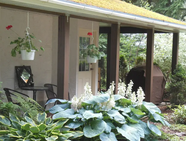 Guesthouse Mountain Escape hotel detail image 2