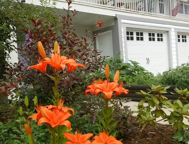 Guesthouse Mountain Escape hotel detail image 4