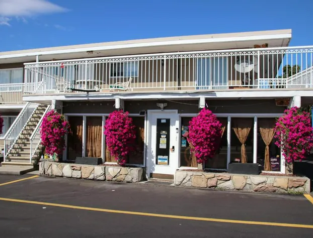 Plaza Motel hotel detail image 2