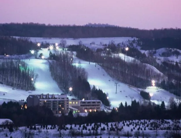 Hockley Valley Resort hotel detail image 1