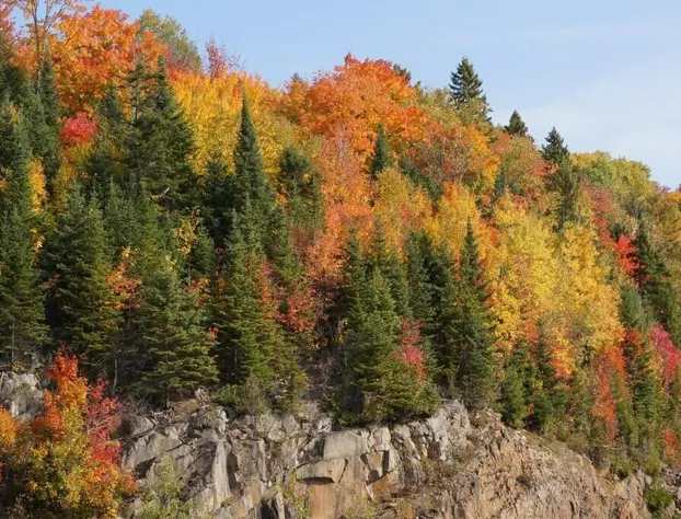 Auberge L'Ile de France hotel detail image 3