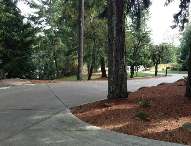 Maple View Bed and Breakfast hotel detail image 4