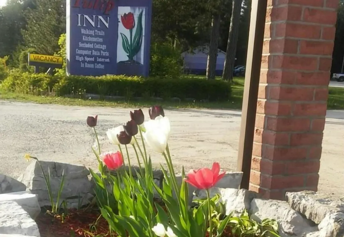 Tulip Inn hotel hero
