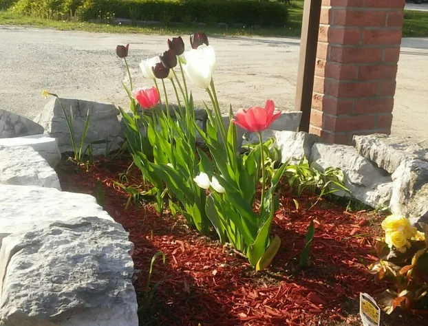 Tulip Inn hotel detail image 1