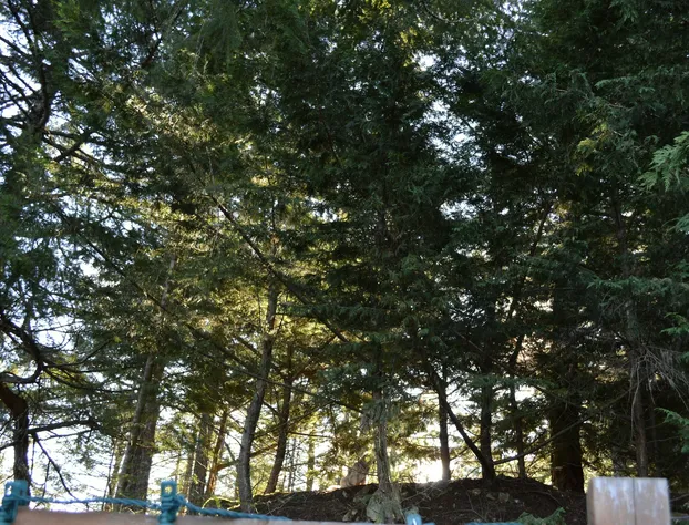 Elevate Rooms Armand Heights hotel detail image 4