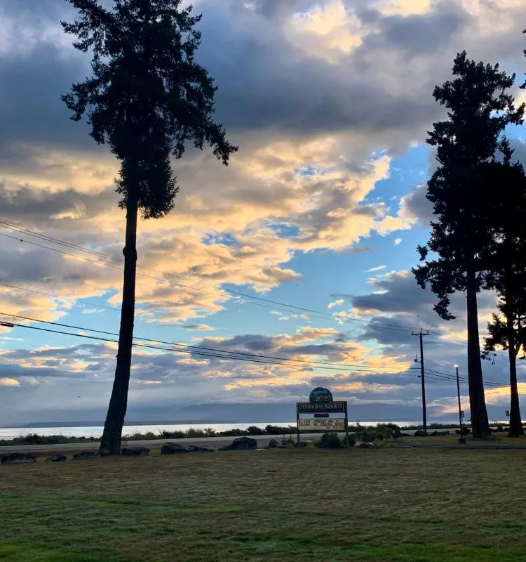 Oyster Bay Resorts hotel hero