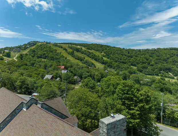 4 Seasons at Beech Mountain hotel detail image 3