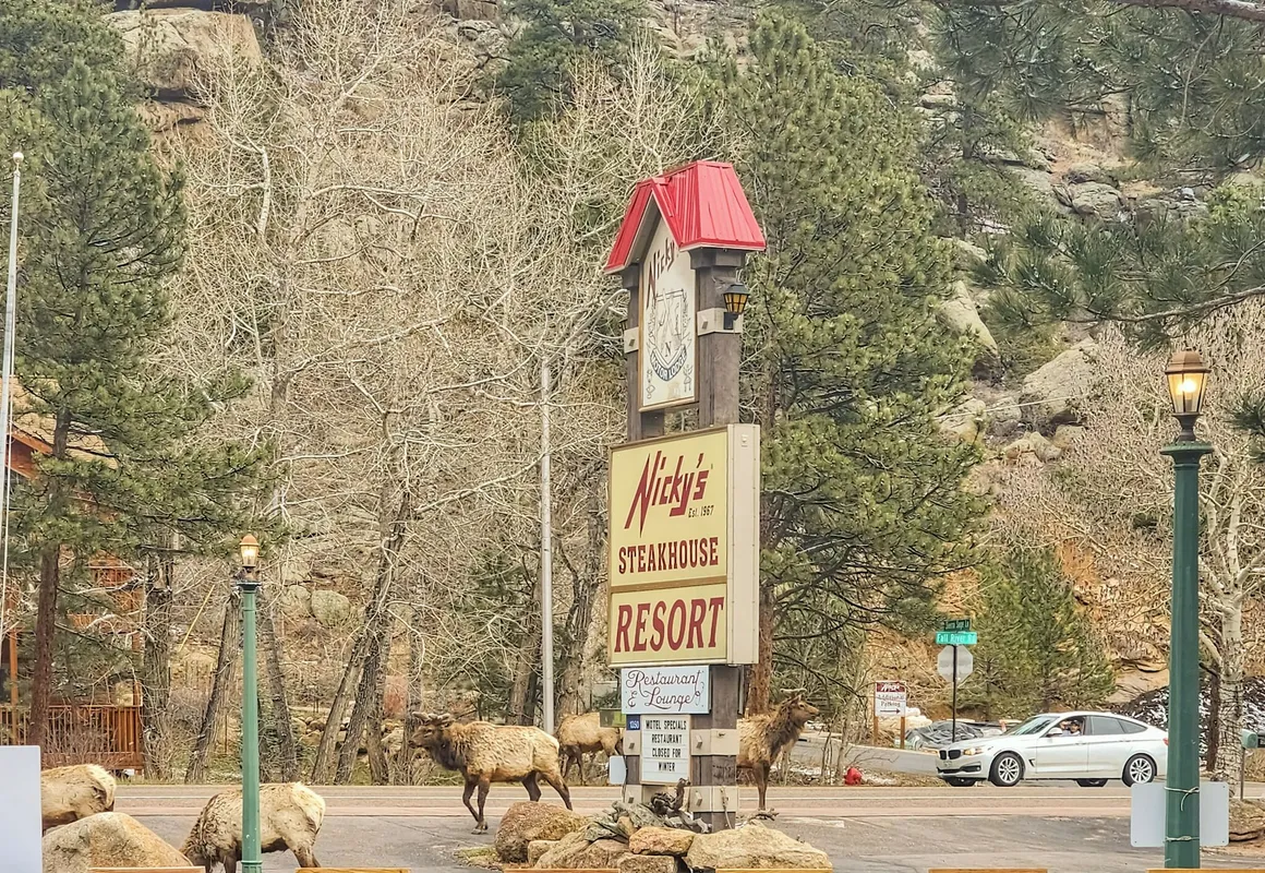 Nicky's Resort hotel hero