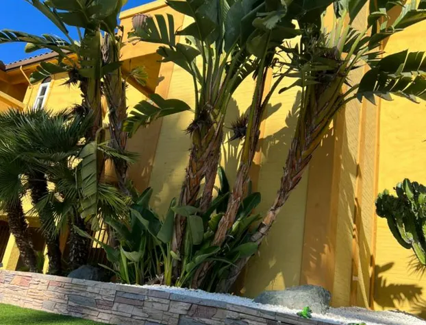 The Aqua Pacific Hotel hotel detail image 2