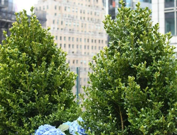 The Knickerbocker Hotel hotel detail image 3