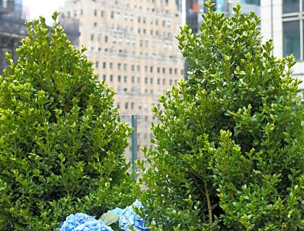 The Knickerbocker Hotel hotel detail image 3