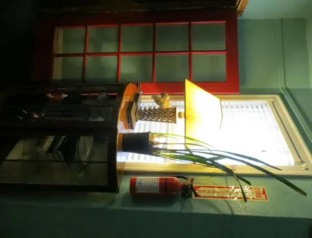 Luz Hotel hotel detail image 1