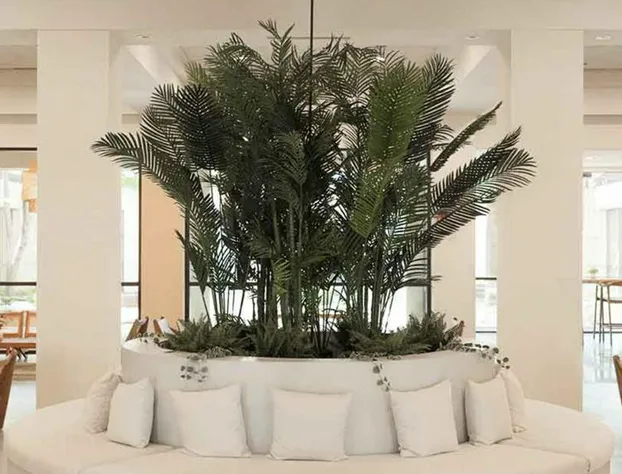 Memphis Vitality Hotel hotel detail image 3