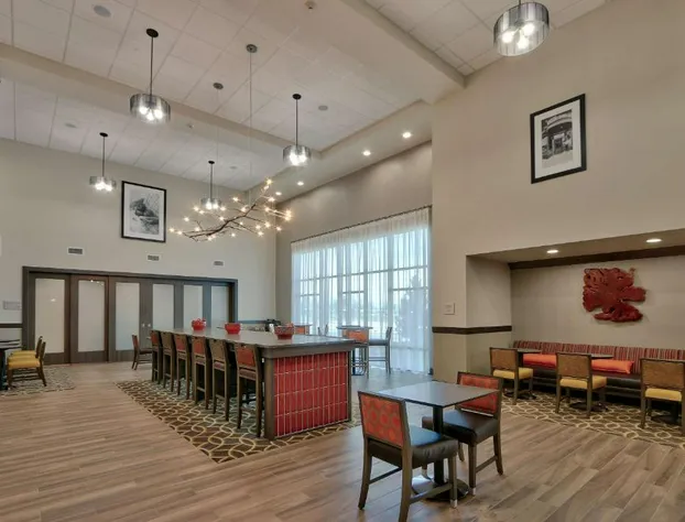 Hampton Inn & Suites Artesia hotel detail image 4