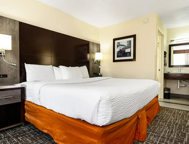 New Hope Inn & Suites hotel detail image 2