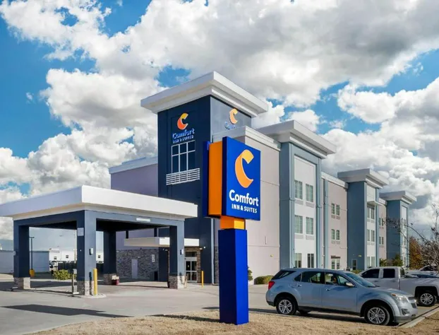 Comfort Inn & Suites hotel detail image 2