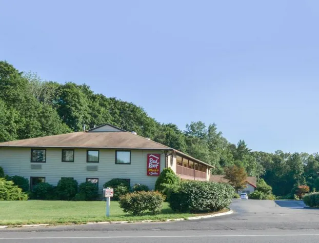 Red Roof Inn PLUS+ & Suites Guilford hotel detail image 1
