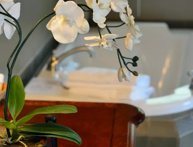 White Rose Inns hotel detail image 4