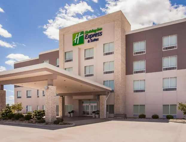 Holiday Inn Express & Suites Litchfield West by IHG hotel detail image 3