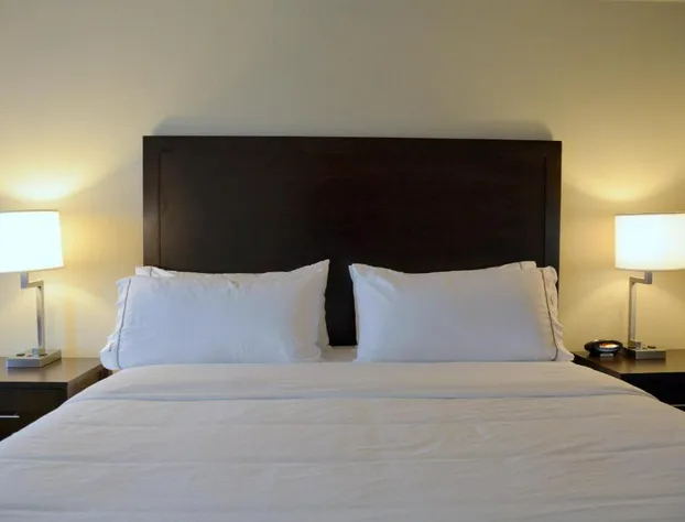 Holiday Inn Express & Suites Houston NW - Tomball Area by IHG hotel detail image 2
