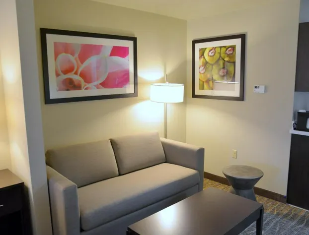 Holiday Inn Express & Suites Houston NW - Tomball Area by IHG hotel detail image 3