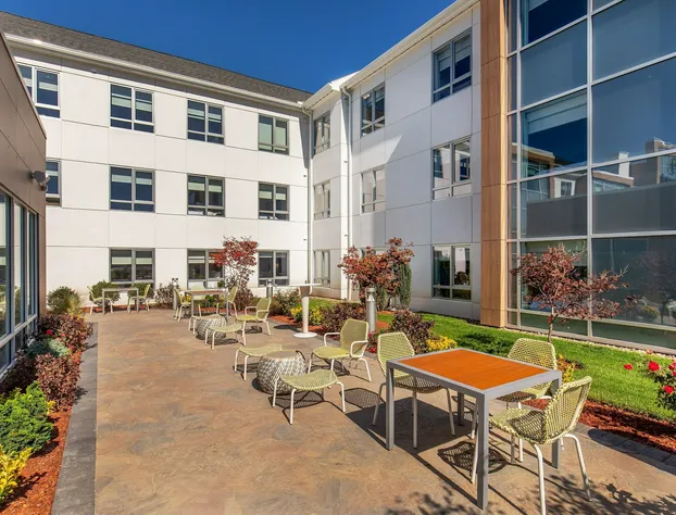 Element Chelmsford hotel detail image 2