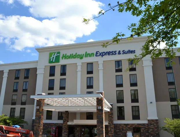 Holiday Inn Express & Suites Nashville Southeast - Antioch by IHG hotel detail image 3