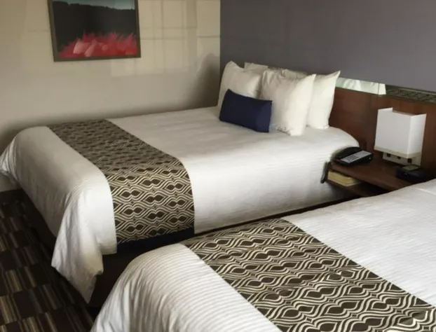 Microtel Inn & Suites by Wyndham Sault Ste. Marie hotel detail image 4