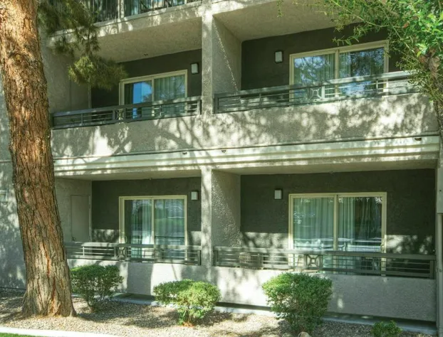 Desert Rose Resort hotel detail image 4