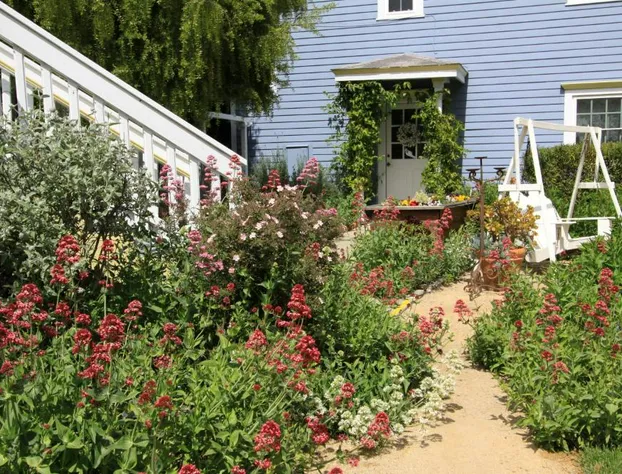 Olallieberry Inn B&B hotel detail image 4