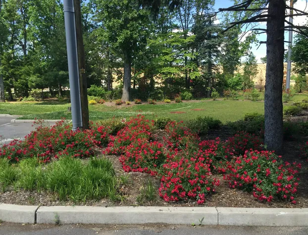 Relax Inn Galloway hotel detail image 3
